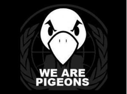 Les Pigeons - mouvement de défense des entrepreneurs