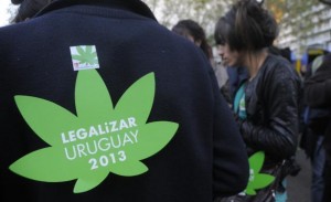 uruguay-marijuana