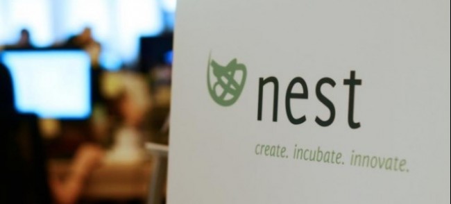 nest startup
